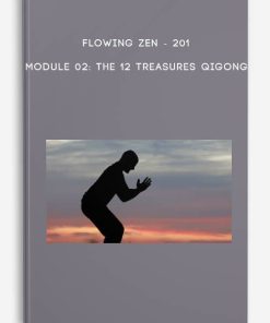 201 – Module 02 The 12 Treasures Qigong by Flowing Zen | Available Now !