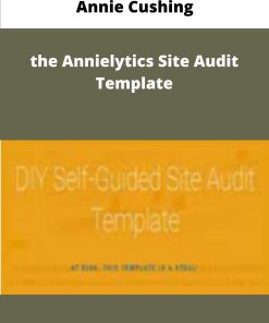 Annie Cushing the Annielytics Site Audit Template