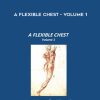 Arlyn Zones – A Flexible Chest – Volume 1 | Available Now !