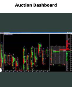Auction Dashboard