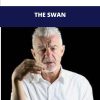 BOB BURNS THE SWAN