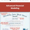 Breaking Into Wall Street Advanced Financial Modeling