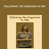 Cheryl Sanders – Following The Organism in TRE | Available Now !