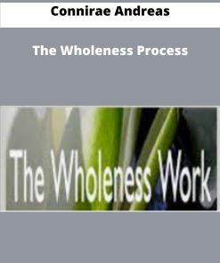 Connirae Andreas The Wholeness Process