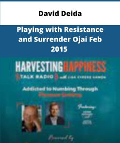 David Deida Playing with Resistance and Surrender Ojai Feb
