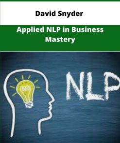 David Snyder Applied NLP in Business Mastery
