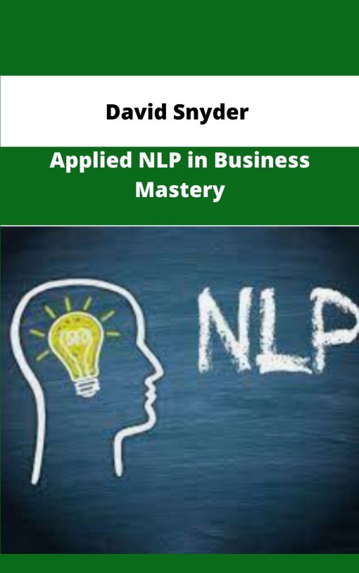 David Snyder Applied NLP in Business Mastery