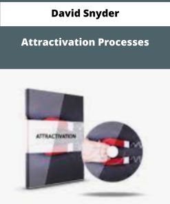 David Snyder Attractivation Processes