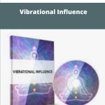 David Synder - Vibrational Influence | Available Now !