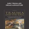 Donald Kalsched – Early Trauma and Dreams AUDIOLECTURE | Available Now !