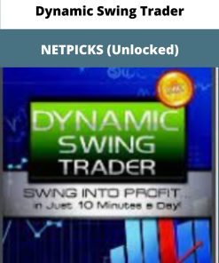 Dynamic Swing Trader NETPICKS Unlocked