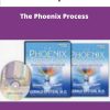 Gerald Epstein The Phoenix Process
