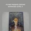 Grandmaster Doo Wai – Flying Phoenix Qigong Advanced Level 3 | Available Now !