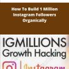 IG Millions How To Build Million Instagram Followers Organically