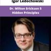 Igor Ledochowski Dr Milton Erickson Hidden Principles