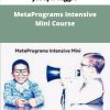 Joseph Riggio MetaPrograms Intensive Mini Course