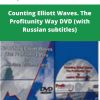 Justine Williams-Lara – Counting Elliott Waves. The Profitunity Way DVD (with Russian subtitles) | Available Now !