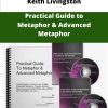 Keith Livingston Practical Guide to Metaphor Advanced Metaphor