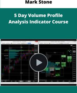 Mark Stone Day Volume Profile Analysis Indicator Course