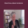 NICABM – Practical Brain Science | Available Now !