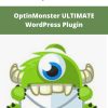 OptinMonster ULTIMATE WordPress Plugin | Available Now !