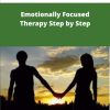 Psychotherapy net Emotionally Focused Therapy Step by Step