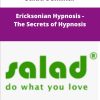 Salad Seminar Ericksonian Hypnosis The Secrets of Hypnosis