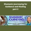 Sandra Ingerman Shamanic Journeying for Guidance and Healing part