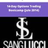 Sang Lucci – 14-Day Options Trading Bootcamp (Jule 2014) | Available Now !
