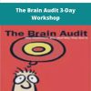 Sean D�Souza The Brain Audit Day Workshop