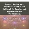 Shawn Carson Tree of Life Coaching Practical Secrets of the Kabbalah for Coaches and Hypnosis and NLP Practitioners