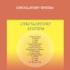 Sound Healing Center – Circulatory System | Available Now !