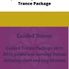 Stephen Gilligan Guided Trance Package