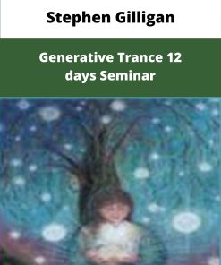 Stephen Gilligan Generative Trance days Seminar