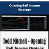 Todd Mitchell Opening Bell Income Strategy