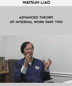 Waysun Liao – Advanced Theory of Internal Work Part Two | Available Now !