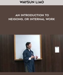 Waysun Liao – An Introduction to Neigong, or Internal Work | Available Now !