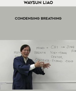 Waysun Liao – Condensing Breathing | Available Now !