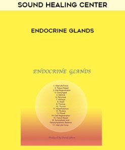 Sound Healing Center – Endocrine Glands | Available Now !