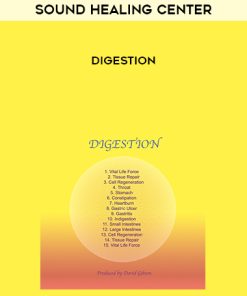 Sound Healing Center – Digestion | Available Now !