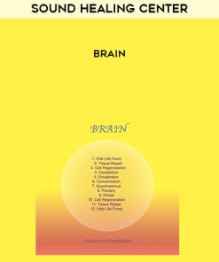 Sound Healing Center – Brain | Available Now !