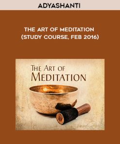 Adyashanti – The Art of Meditation (Study Course, Feb 2016) | Available Now !