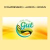 Heal Your Gut Summit 2016 (compressed) + audios + bonus | Available Now !