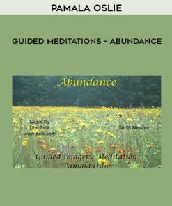 Pamala Oslie – Guided Meditations – Abundance | Available Now !