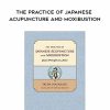 Ikeda Masakazu – The Practice of Japanese Acupuncture and Moxibustion | Available Now !