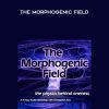 Christopher Tims – The Morphogenic field | Available Now !