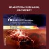 BrainSpeak – Brainstorm Subliminal – Prosperity | Available Now !