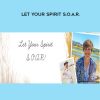 Suzanne Glesemann – Let Your Spirit S.O.A.R. | Available Now !