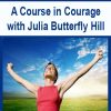 A Course in Courage with Julia Butterfly Hill | Available Now !