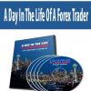 A Day In The Life Of A Forex Trader | Available Now !